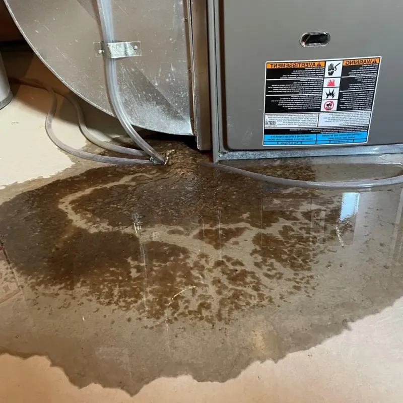 Pipe Burst and Leak Restoration in North Kensington, MD
